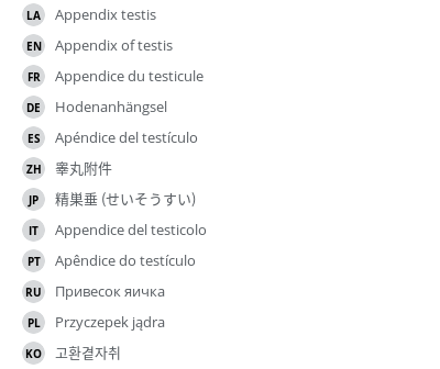 Translations