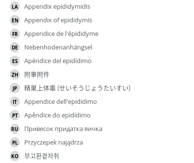 Translations