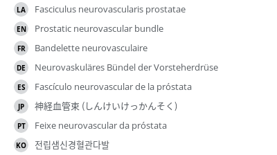 Translations