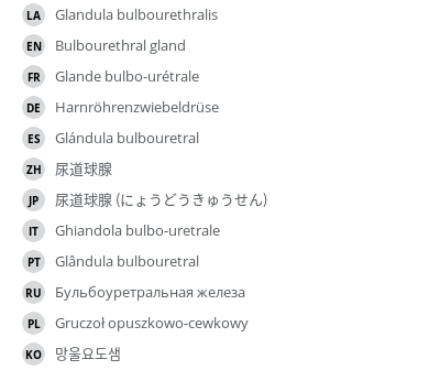 Translations