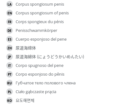 Translations