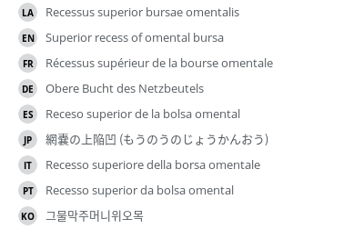 Translations