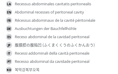 Translations