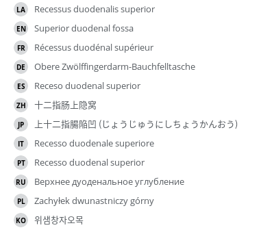 Translations