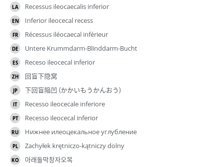 Translations