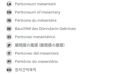 Translations