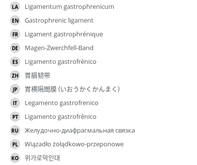 Translations