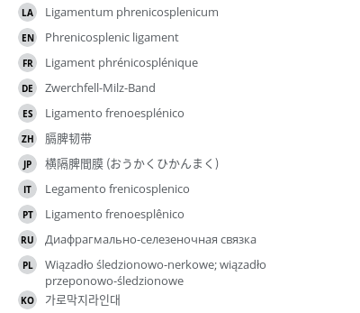 Translations