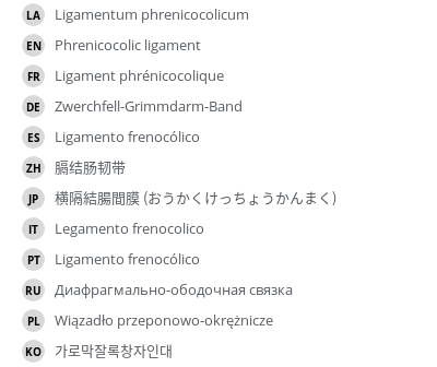 Translations