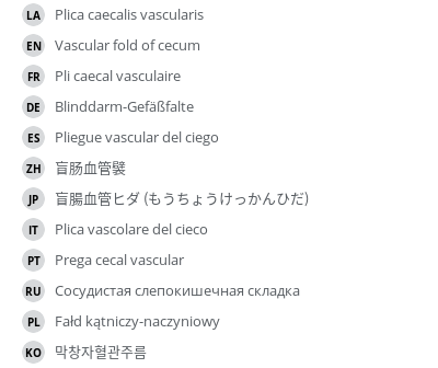 Translations