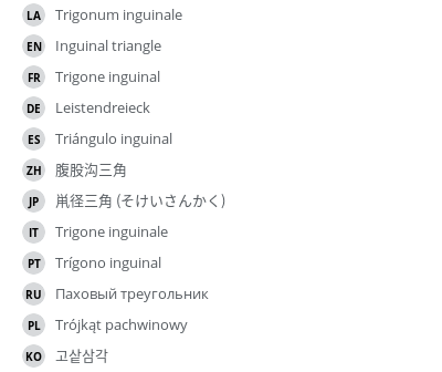 Translations