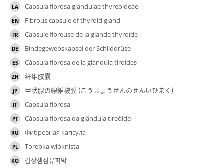 Translations