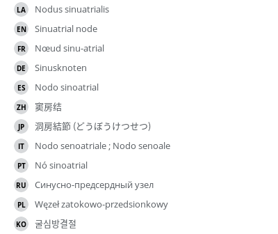 Translations