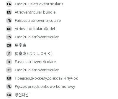 Translations