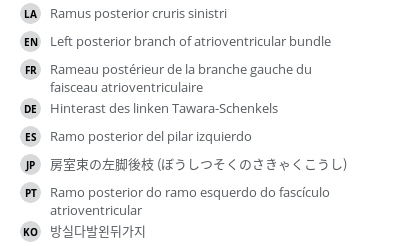 Translations