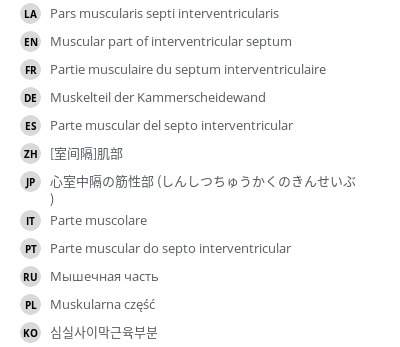 Translations