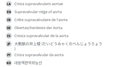 Translations