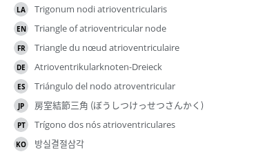 Translations