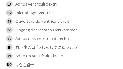 Translations