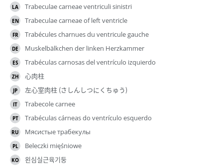 Translations