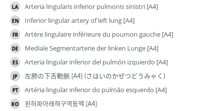 Translations