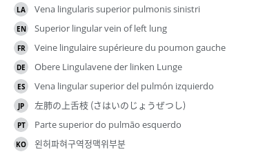 Translations