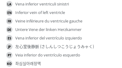 Translations