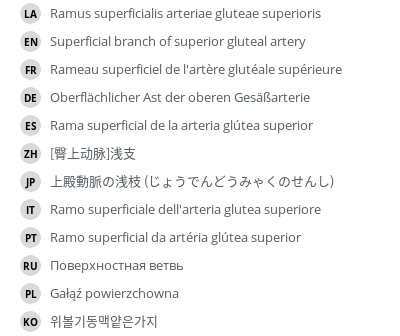 Translations