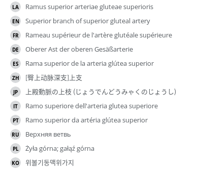 Translations