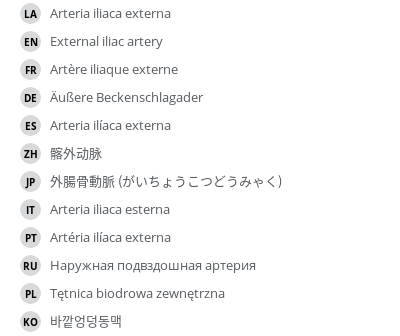Translations
