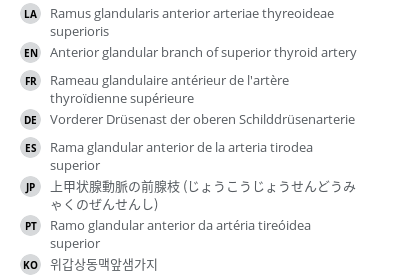 Translations
