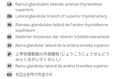 Translations
