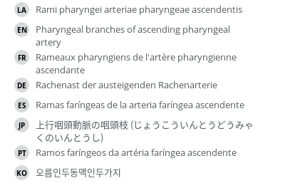 Translations