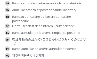 Translations