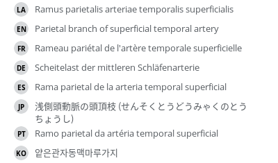 Translations