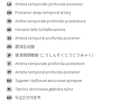 Translations
