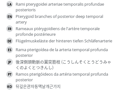 Translations