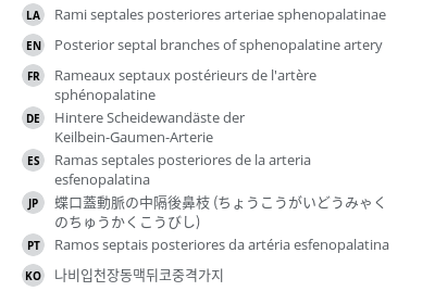 Translations