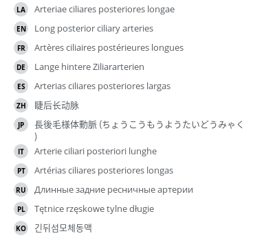 Translations