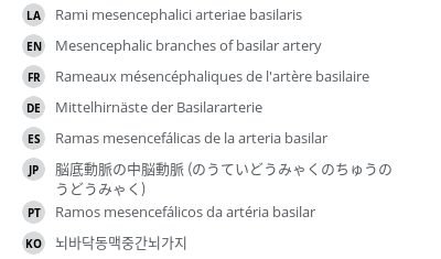 Translations