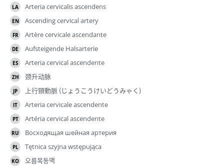 Translations