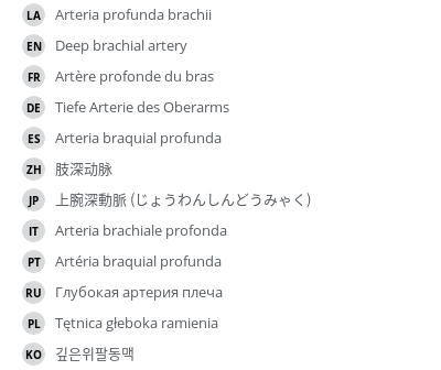Translations