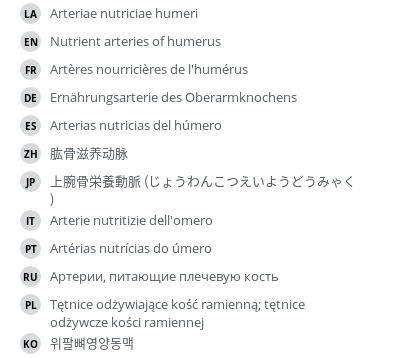 Translations