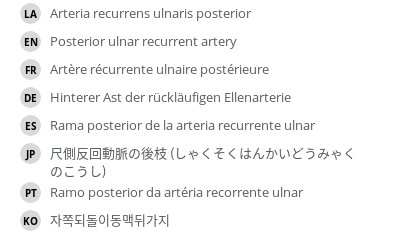 Translations