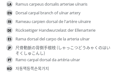 Translations