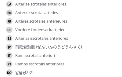 Translations