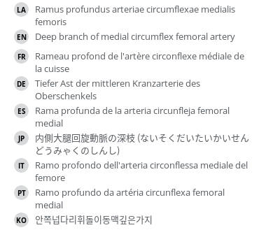 Translations