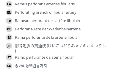Translations