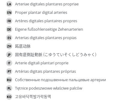 Translations