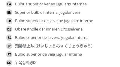 Translations
